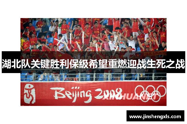 湖北队关键胜利保级希望重燃迎战生死之战