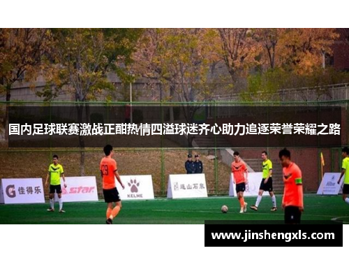 国内足球联赛激战正酣热情四溢球迷齐心助力追逐荣誉荣耀之路