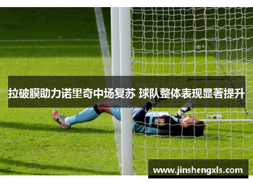 拉破膜助力诺里奇中场复苏 球队整体表现显著提升