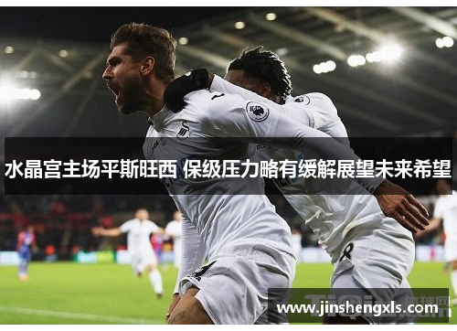 水晶宫主场平斯旺西 保级压力略有缓解展望未来希望