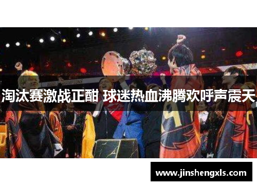 淘汰赛激战正酣 球迷热血沸腾欢呼声震天