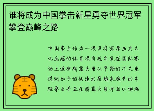 谁将成为中国拳击新星勇夺世界冠军攀登巅峰之路